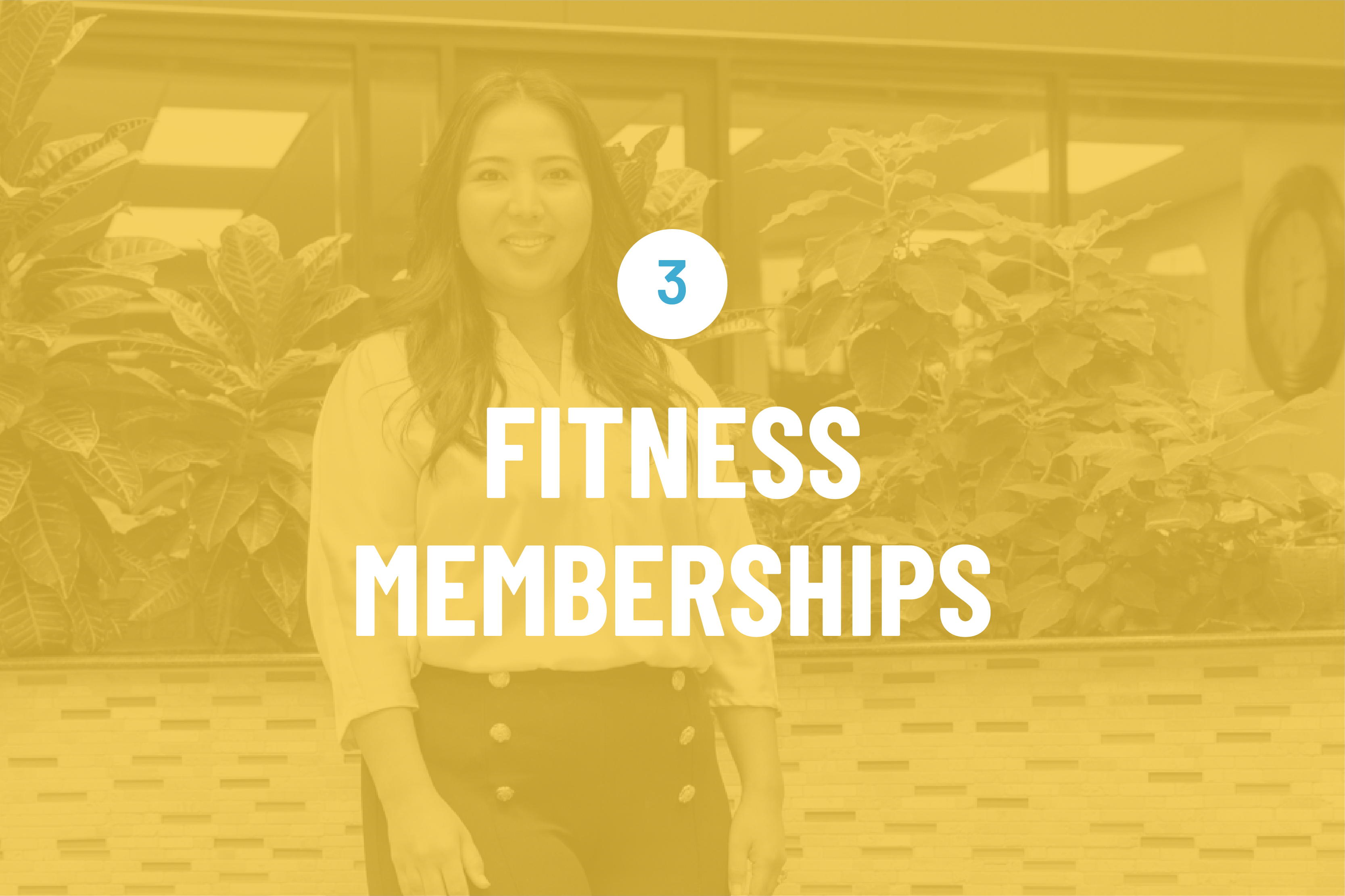 3 - Fitness Memberships