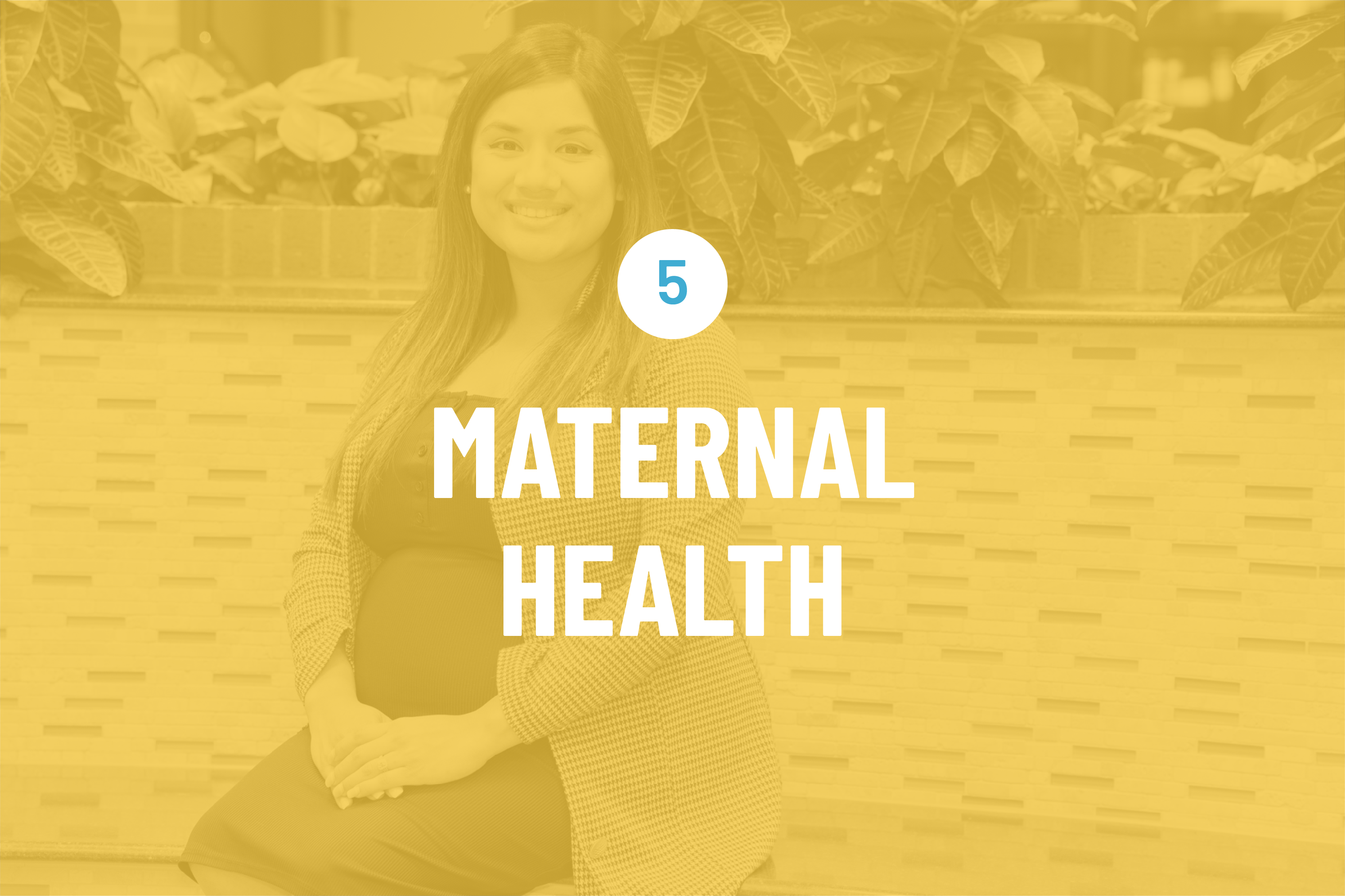 5 - Maternal Health