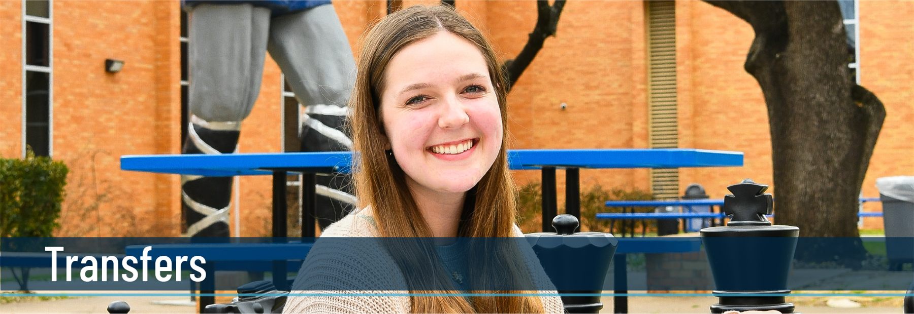 Transfers Header Image Transfers Header Image